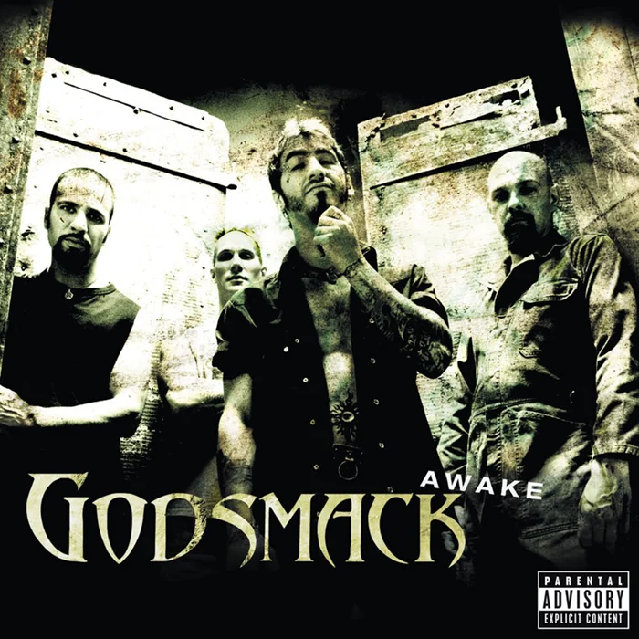 Godsmack Awake 2LP купить,NaN