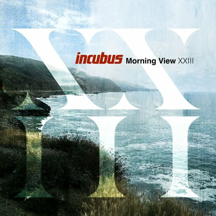Incubus Morning View Xxiii 2LP купить,NaN