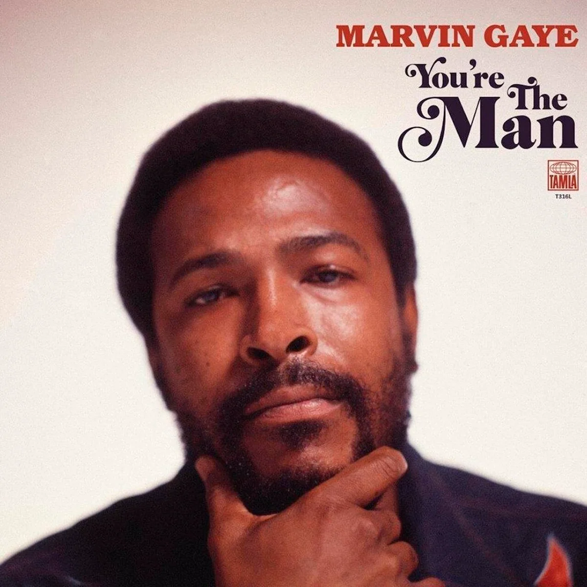 Gaye Marvin You re TheMan (Ltd) 2LP купить,NaN