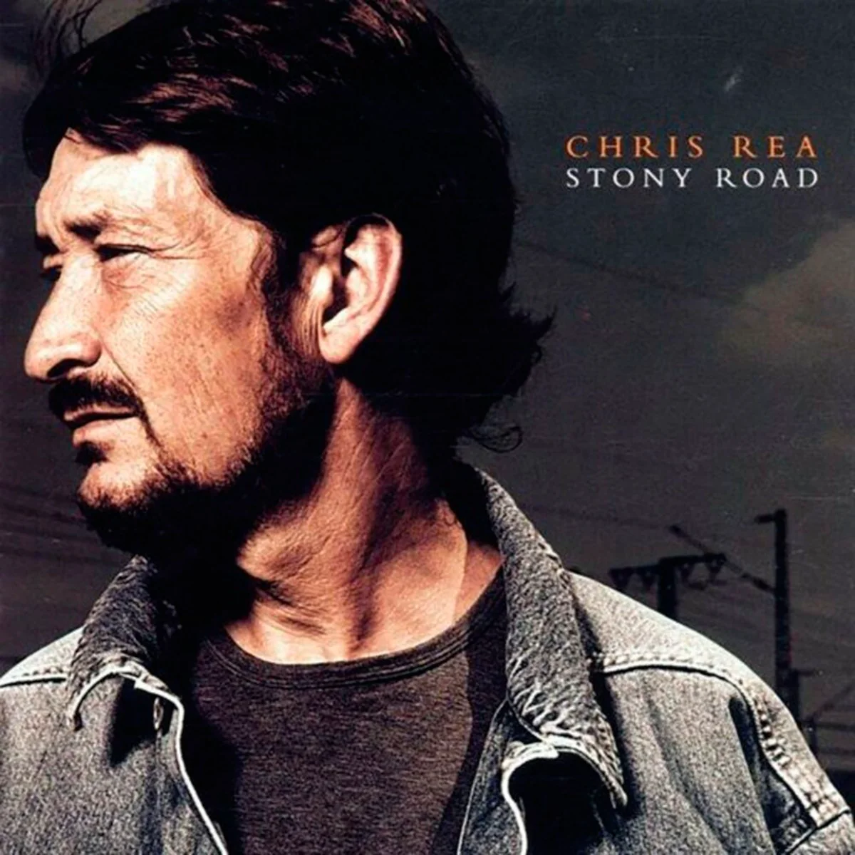 Rea Chris Stony Road (Hq) 2LP купить,NaN