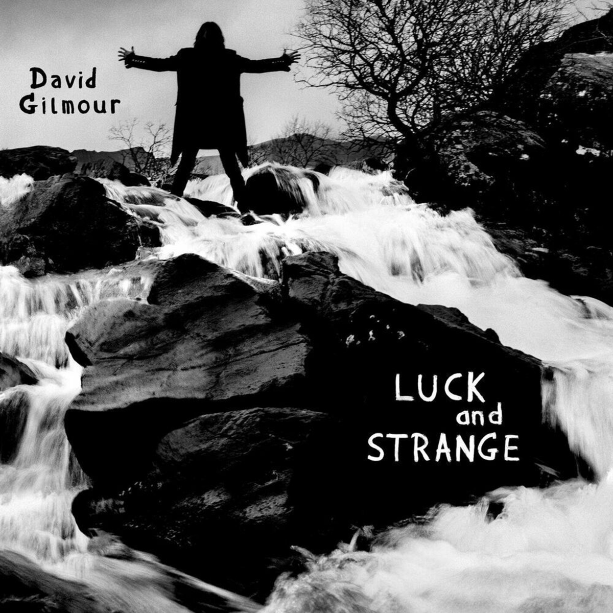 Gilmour David Luck And Strange LP купить,NaN