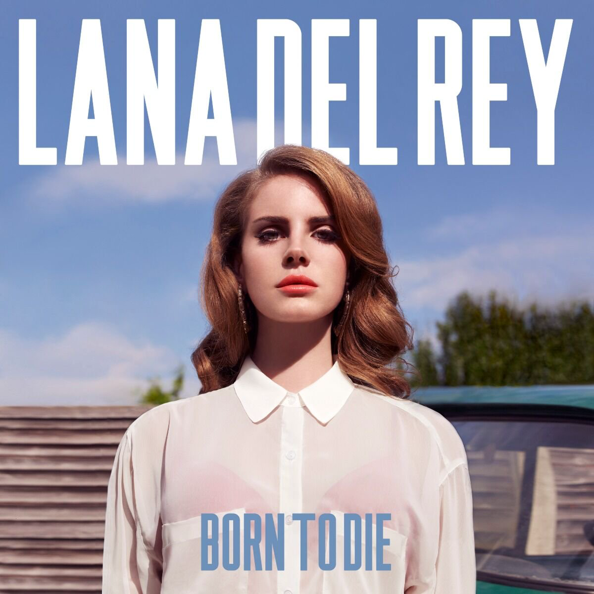 Del Rey Lana Born To Die 2LP купить,NaN