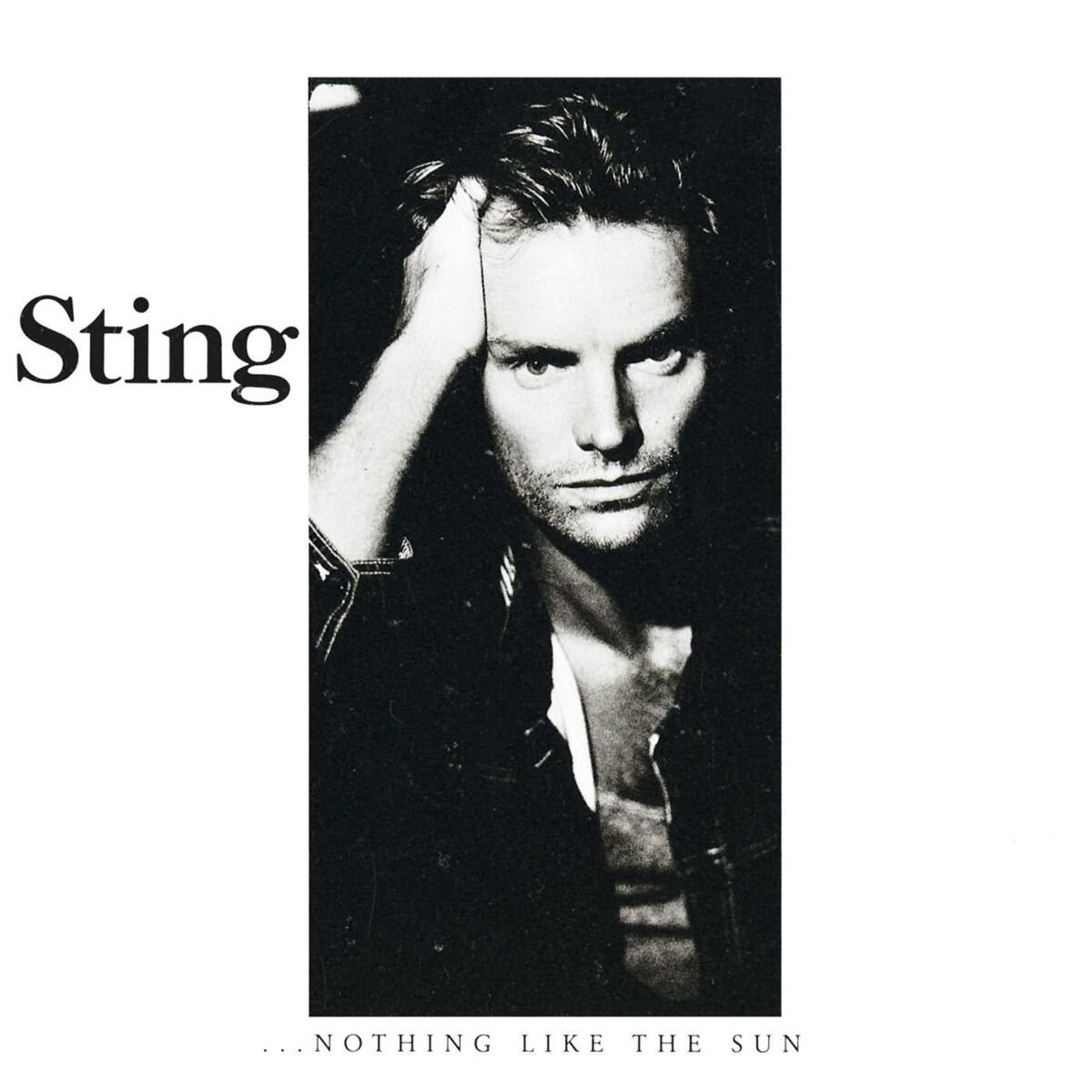 Sting ...Nothing Like The Sun 2LP купить,NaN