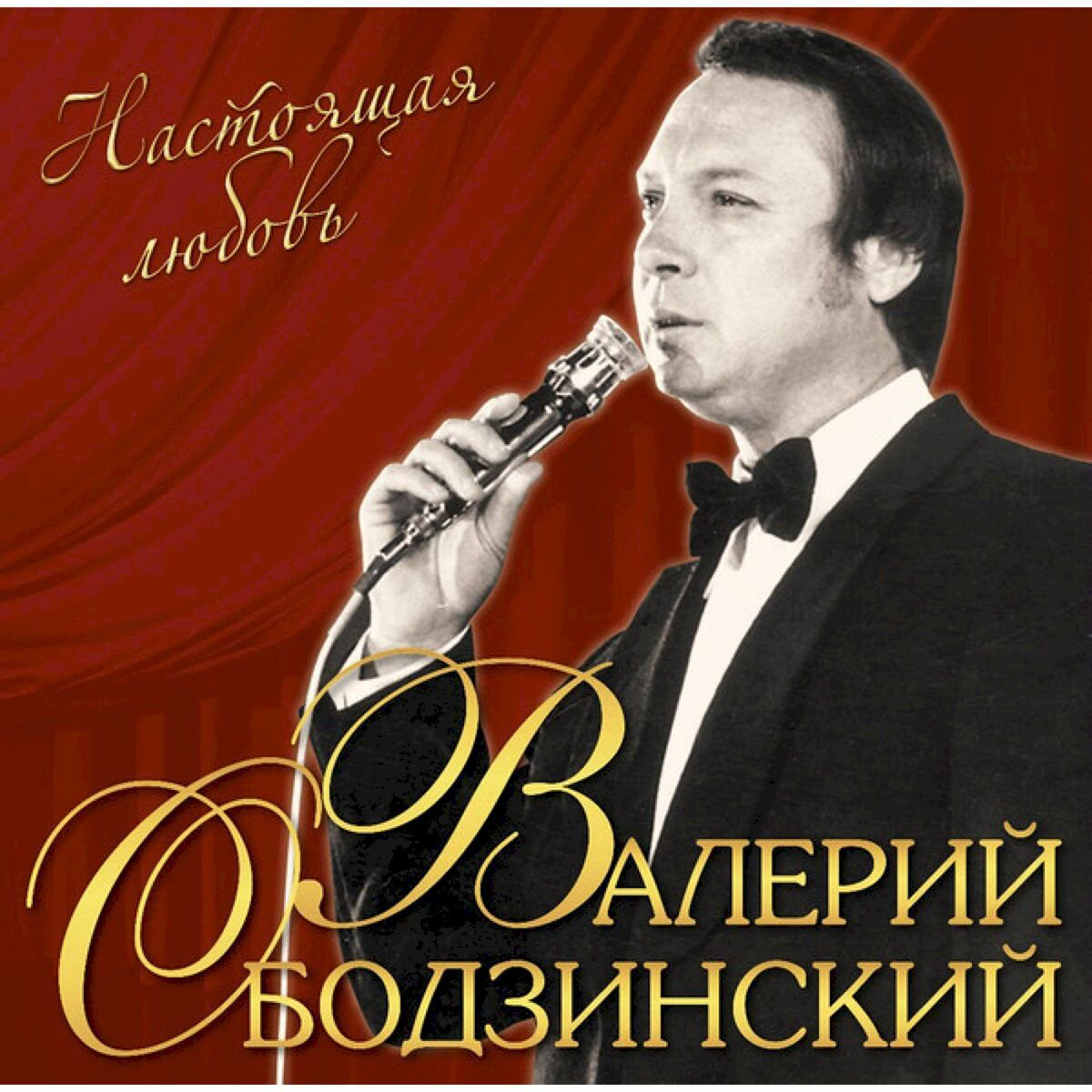 Ободзинский Валерий Настоящая любовь LP купить,NaN