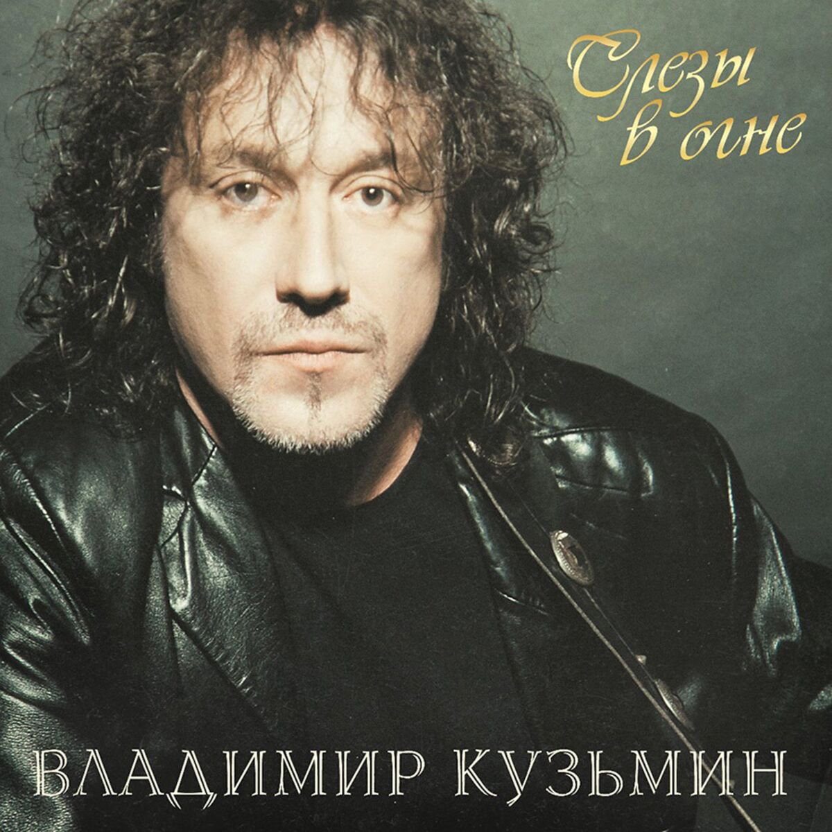 Кузьмин Владимир Слезы в Огне (LP+постер) LP купить,NaN