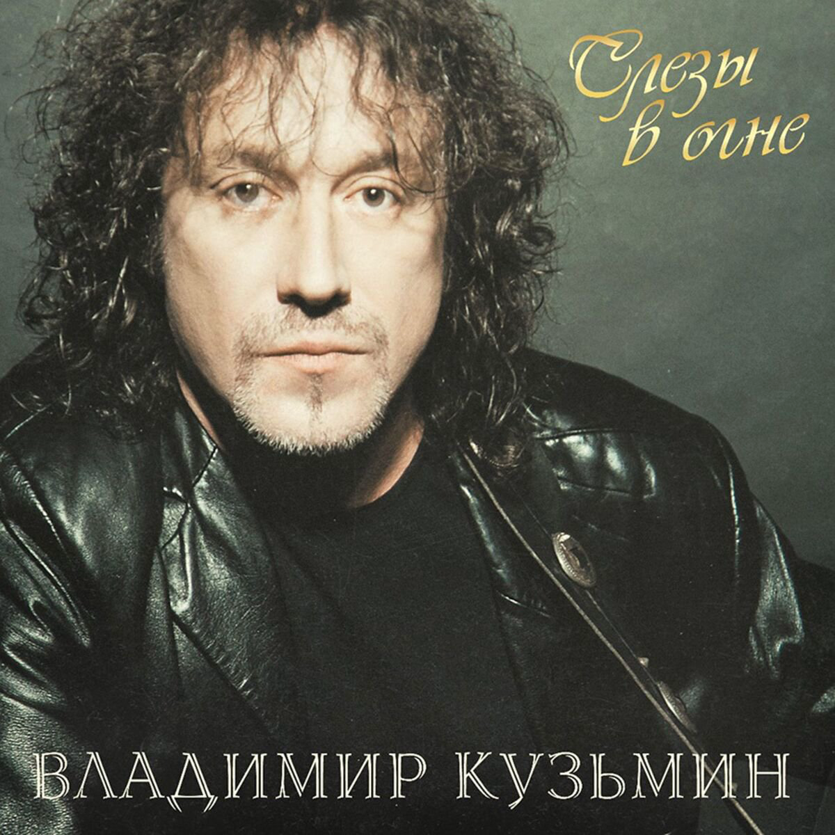 Кузьмин Владимир Слезы в Огне (LP+постер) LP купить,NaN