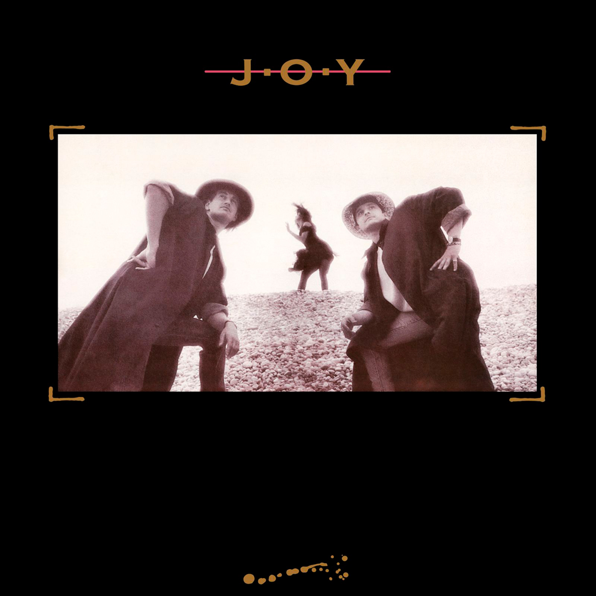 Joy Joy LP купить,NaN