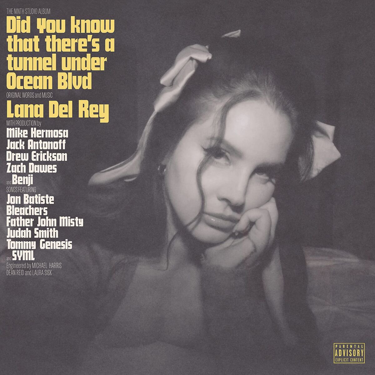 Del Rey Lana Did You Know That There s A Tunnel Under Ocean Blvd 2LP купить,NaN