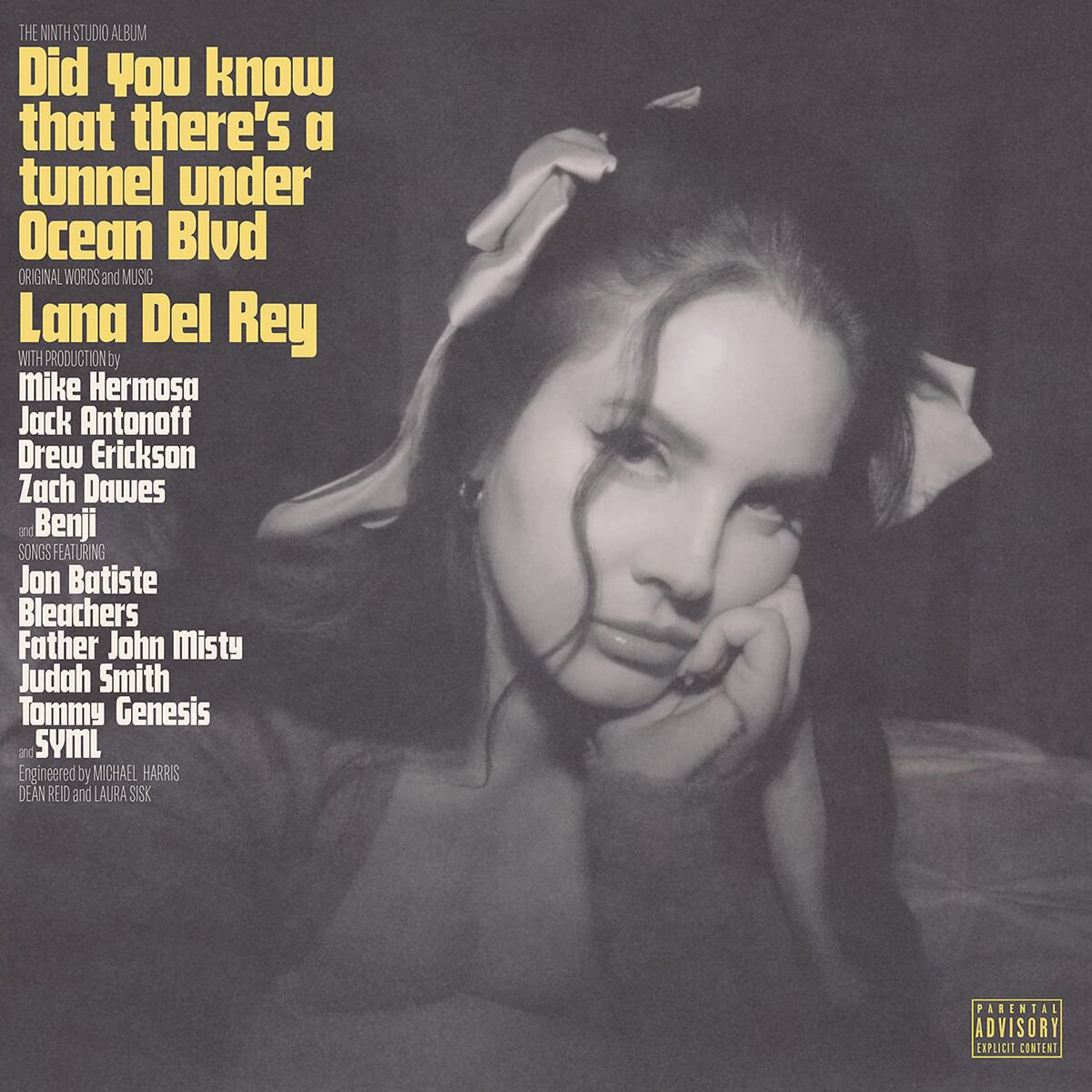 Del Rey Lana Did You Know That There s A Tunnel Under Ocean Blvd 2LP купить,NaN