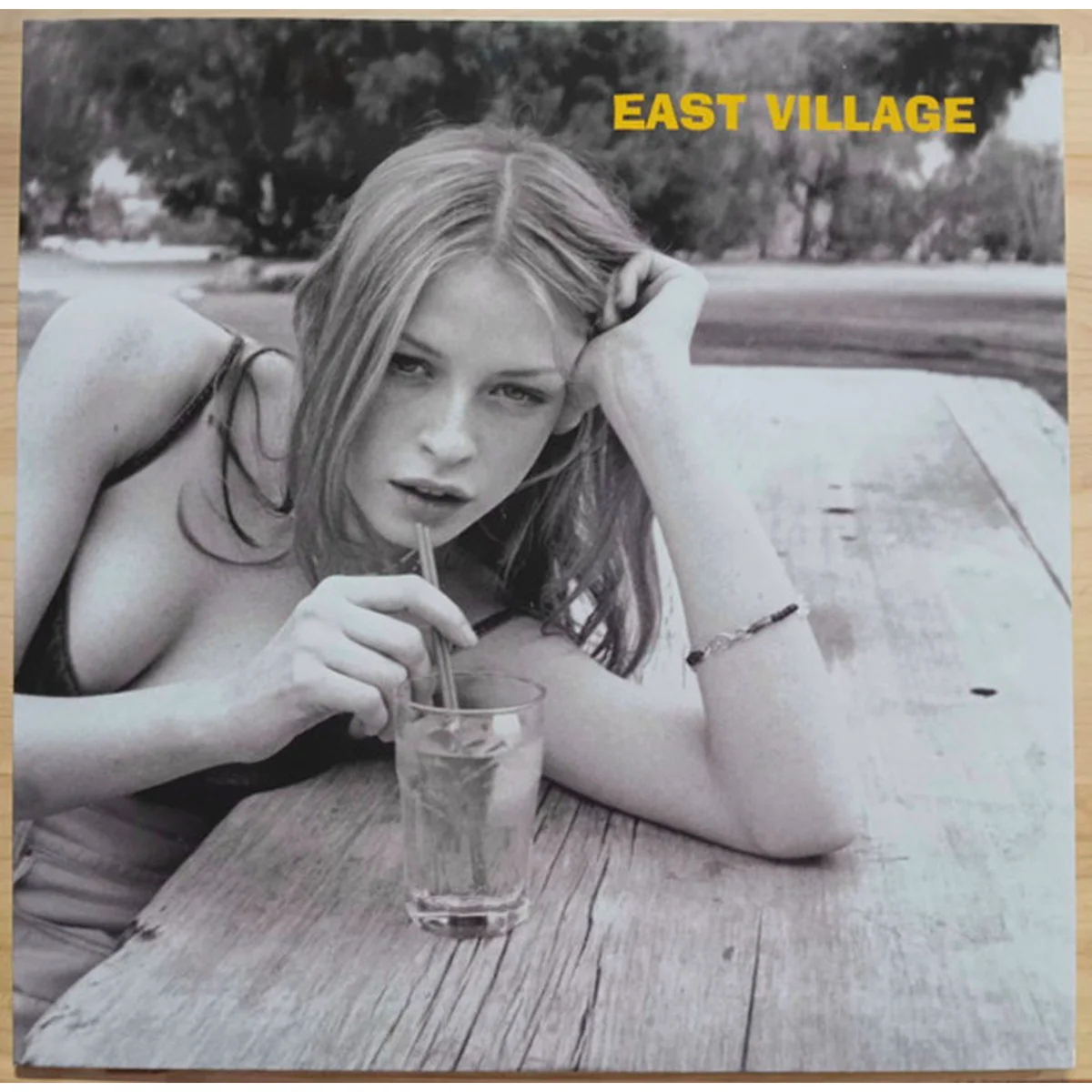 East Village Drop Out LP купить,NaN
