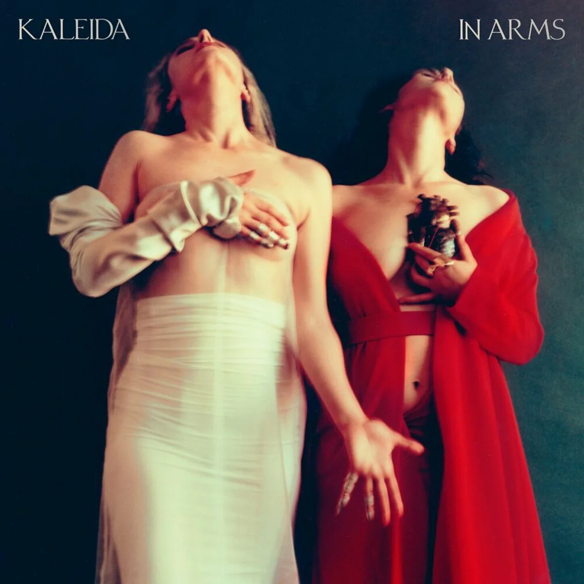 Kaleida In Arms 2LP купить,NaN