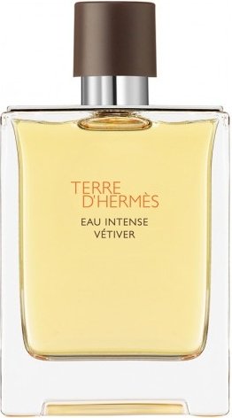 Hermes Terre D'Hermes Eau Intense Vetiver парфюмерная вода EDP 50 мл, для мужчин купить,42490