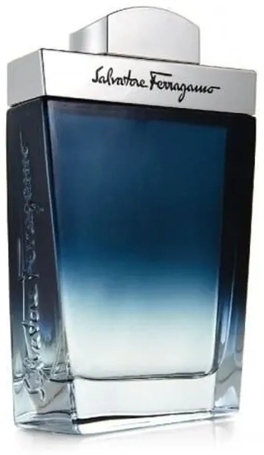 Salvatore Ferragamo Subtil Pour Homme туалетная вода EDT 100 мл, для мужчин - ForteMarket Salvatore Ferragamo Subtil Pour Homme туалетная вода EDT 100 мл, для мужчин купить,16790