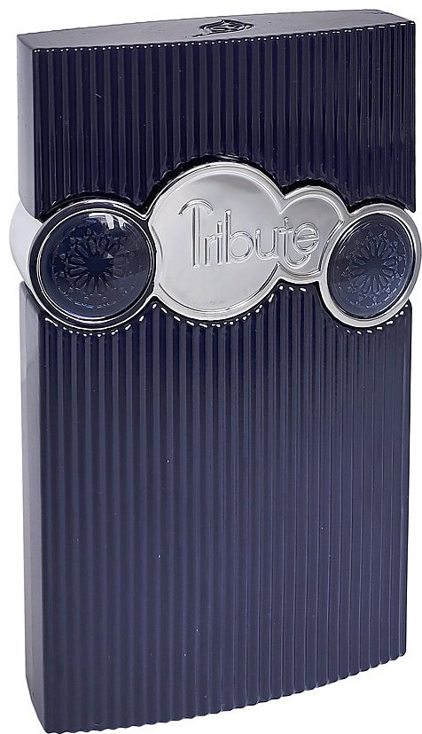 Afnan Tribute Blue парфюмерная вода EDP 100 мл, для мужчин купить,113690