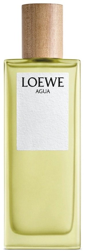 Loewe Agua De Loewe туалетная вода EDT 100 мл, унисекс купить,80190