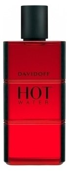 DAVIDOFF Hot Water men туалетная вода EDT 110 мл, для мужчин купить,17390