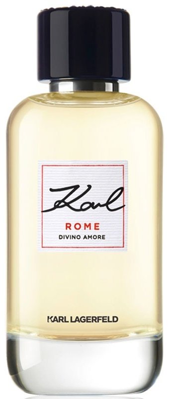 Karl Lagerfeld Rome Divino Amore парфюмерная вода EDP 100 мл, для женщин - ForteMarket Karl Lagerfeld Rome Divino Amore парфюмерная вода EDP 100 мл, для женщин купить,34890