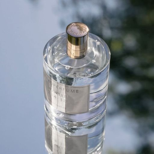 Zarkoperfume Molecule 234.38 парфюмерная вода EDP 100 мл, унисекс купить,78690