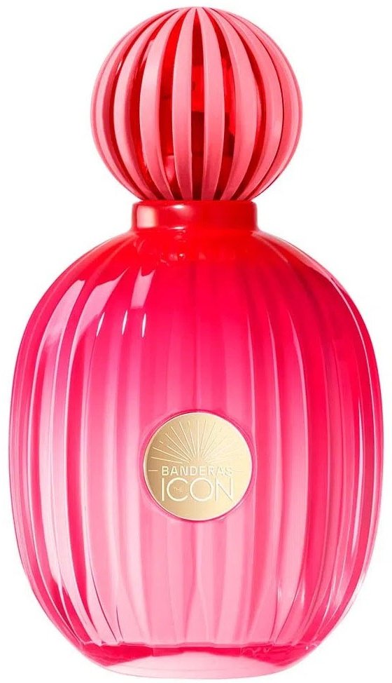 Antonio Banderas The Icon Feminino парфюмерная вода EDP 100 мл, для женщин купить,15490