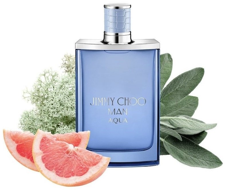 Jimmy choo Man Aqua туалетная вода EDT 100 мл, для мужчин купить,59190