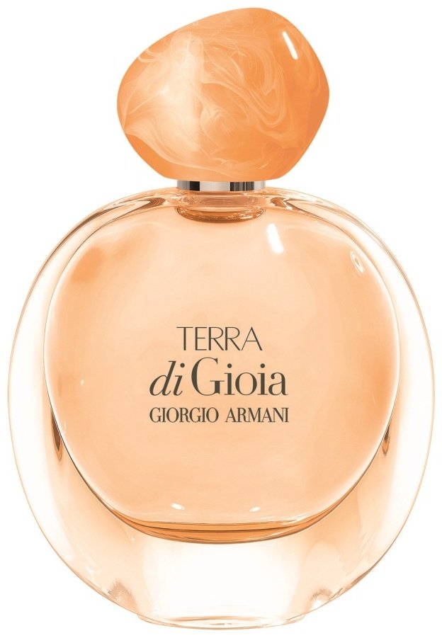 Giorgio Armani Terra di Gioia парфюмерная вода EDP 100 мл, для женщин купить,67690
