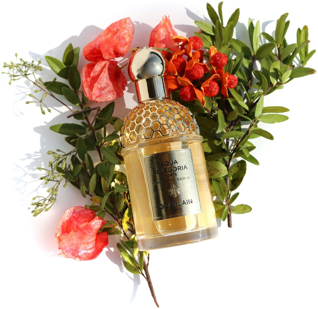Guerlain Aqua Allegoria Forte Mandarine Basilic парфюмерная вода EDP 125 мл купить,100790