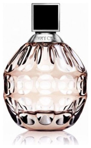 Jimmy choo Jimmy Choo туалетная вода EDT 100 мл, для женщин купить,23990