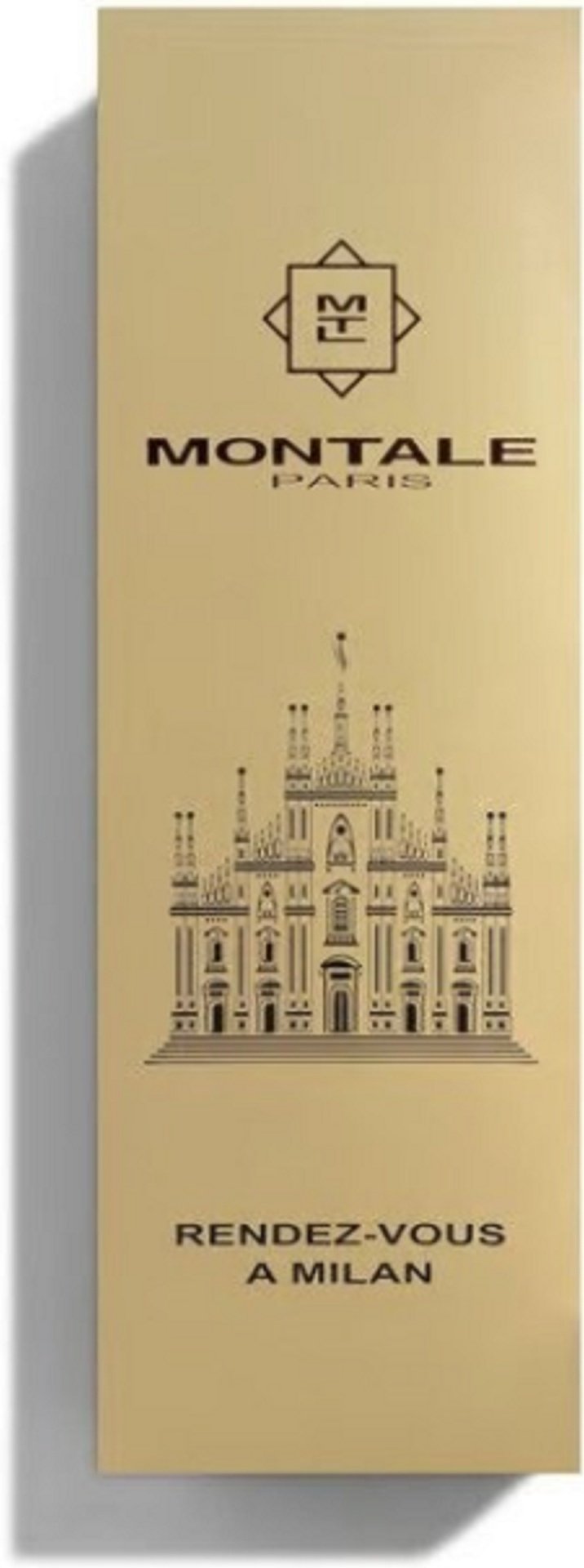 MONTALE Rendez-Vous a Milan парфюмерная вода EDP 100 мл, унисекс купить,50490