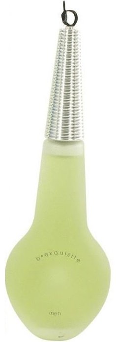 BIJAN B Exquisite туалетная вода EDT 100 мл для мужчин купить,27490
