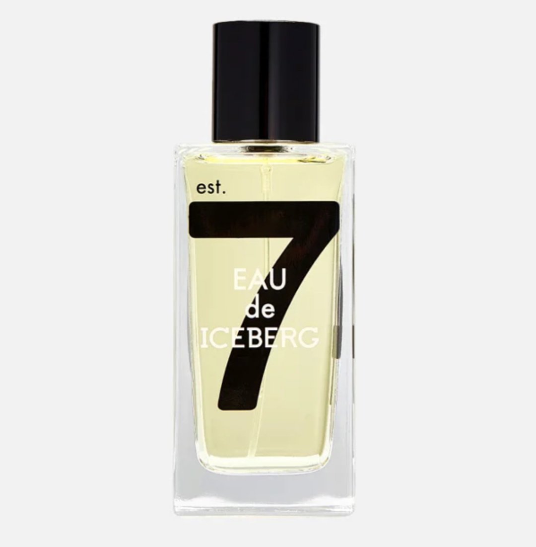 ICEBERG Eau Homme туалетная вода EDT 100 мл, для мужчин купить,NaN
