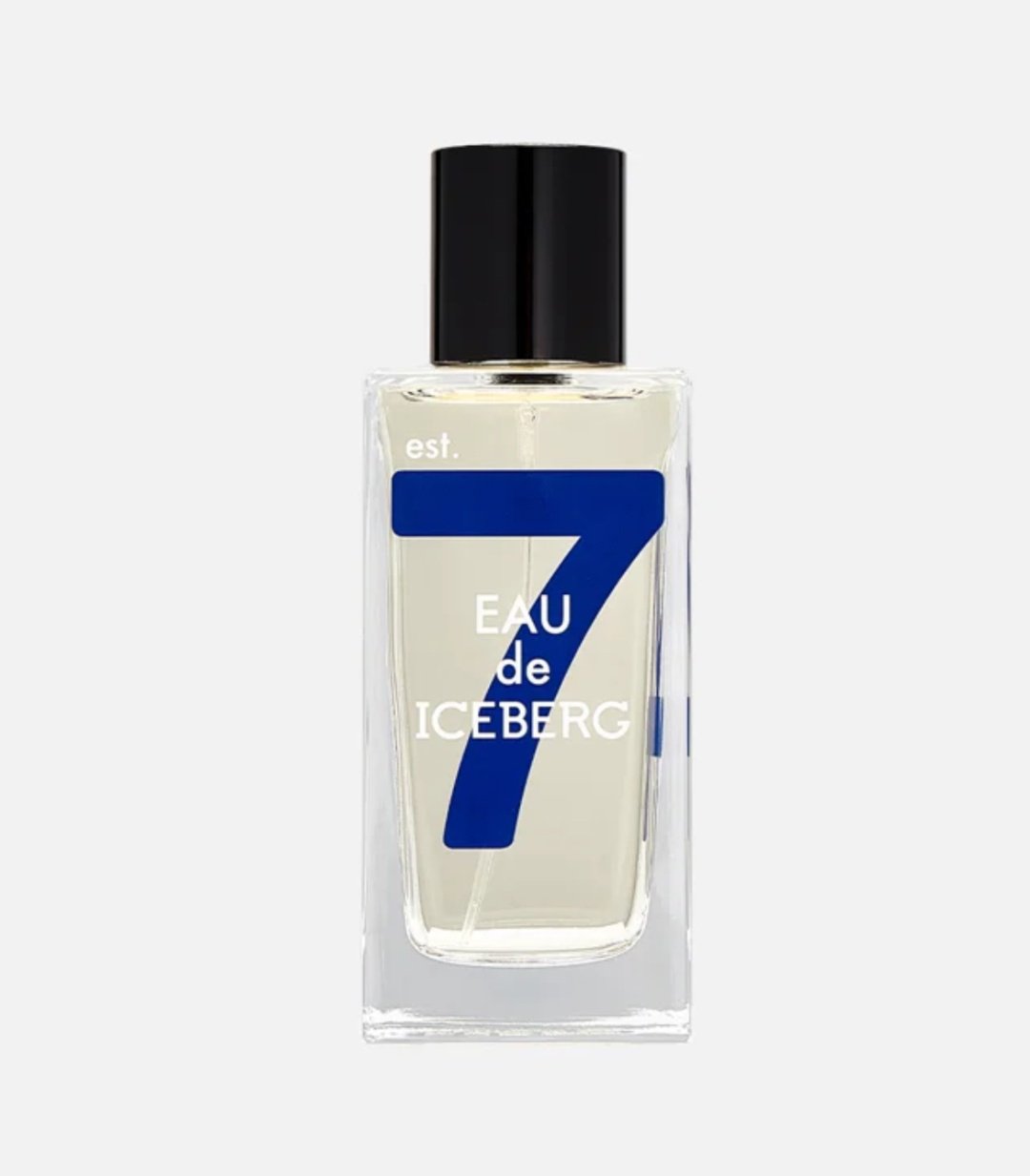 ICEBERG Eau Cedar туалетная вода EDT 100 мл, для мужчин купить,17490