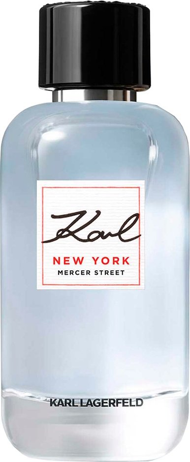 Karl Lagerfeld New York Mercer Street туалетная вода EDT 100 мл, для мужчин купить,35590
