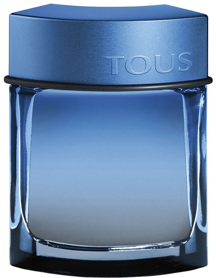 TOUS MAN SPORT туалетная вода EDT 100 мл, для мужчин купить,60890