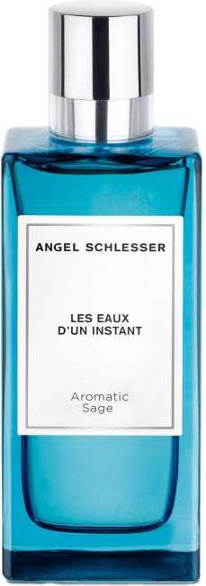 ANGEL SCHLESSER Aromatic Sage туалетная вода EDT 100 мл, для мужчин купить,31990