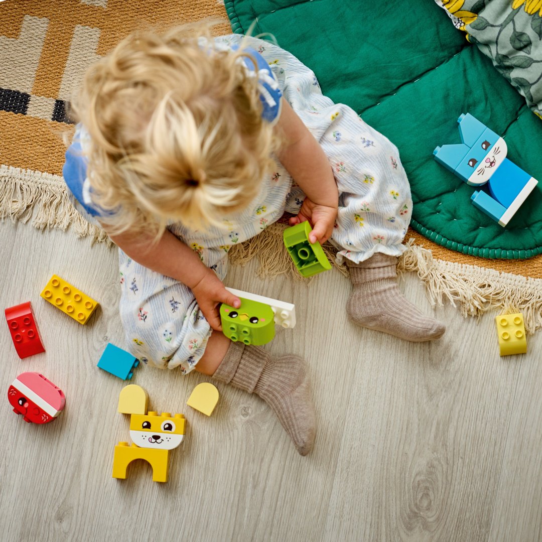 Конструктор LEGO Duplo 10477, деталей 24 шт