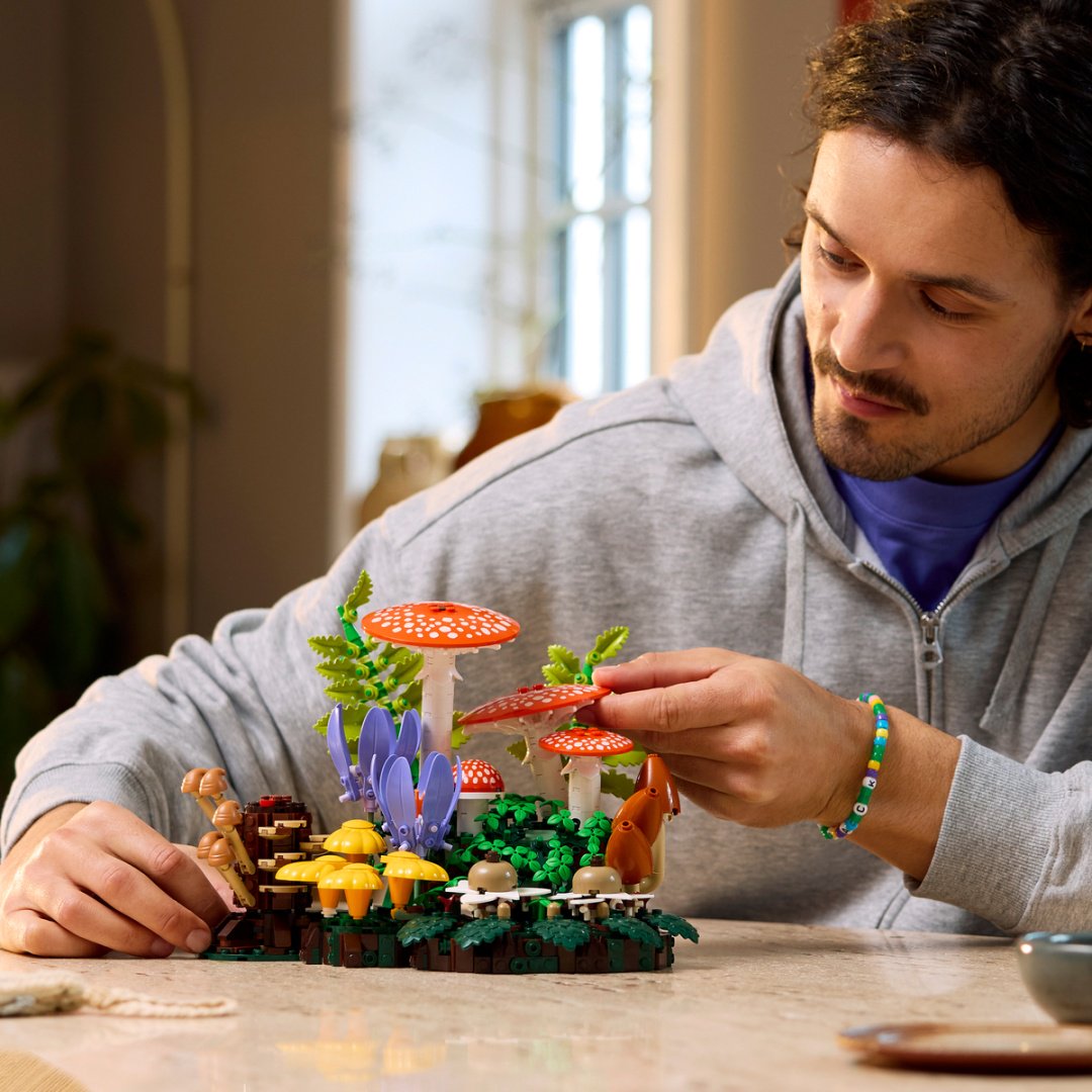 Конструктор LEGO Botanicals 11505, деталей 806 шт купить,63255