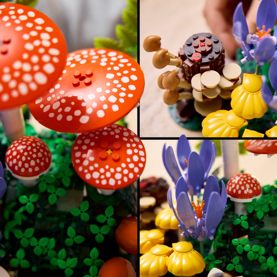 Конструктор LEGO Botanicals 11505, деталей 806 шт купить,63255