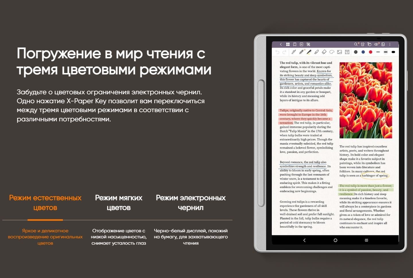 Электронная книга XP-PEN Magic Note Pad серебристый