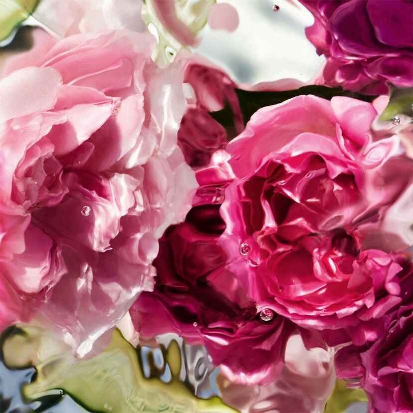Guerlain Aqua Allegoria Rosa Verde туалетная вода EDT 125 мл, для женщин - ForteMarket Guerlain Aqua Allegoria Rosa Verde туалетная вода EDT 125 мл, для женщин купить,49790