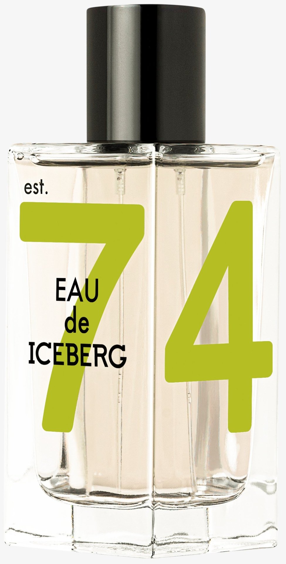 Iceberg Est.74 Italian Bergamot туалетная вода EDT 100 мл, для мужчин - ForteMarket Iceberg Est.74 Italian Bergamot туалетная вода EDT 100 мл, для мужчин купить,35790