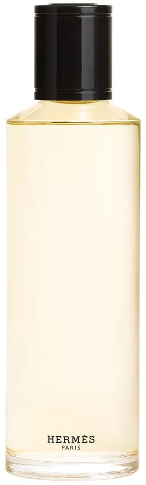 Hermes Terre d'Hermes Intense Refill парфюмерная вода EDP 200 мл, для мужчин купить,191190