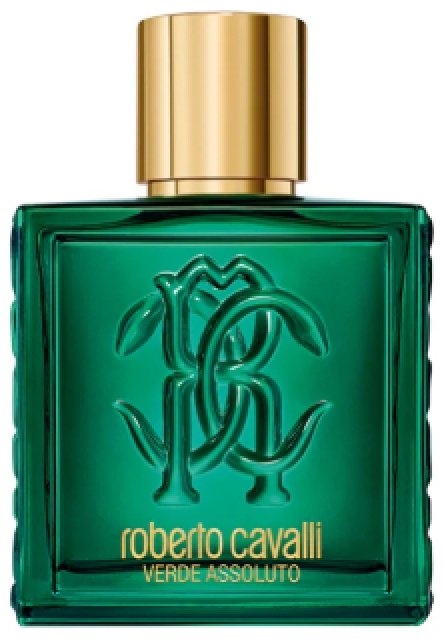 Roberto Cavalli Roberto Cavalli - Uomo Verde Assoluto парфюмерная вода EDP 100 мл, для мужчин купить,85690