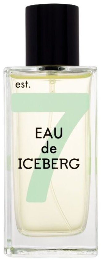 Iceberg Est.74 туалетная вода EDT 100 мл, для женщин купить,35390