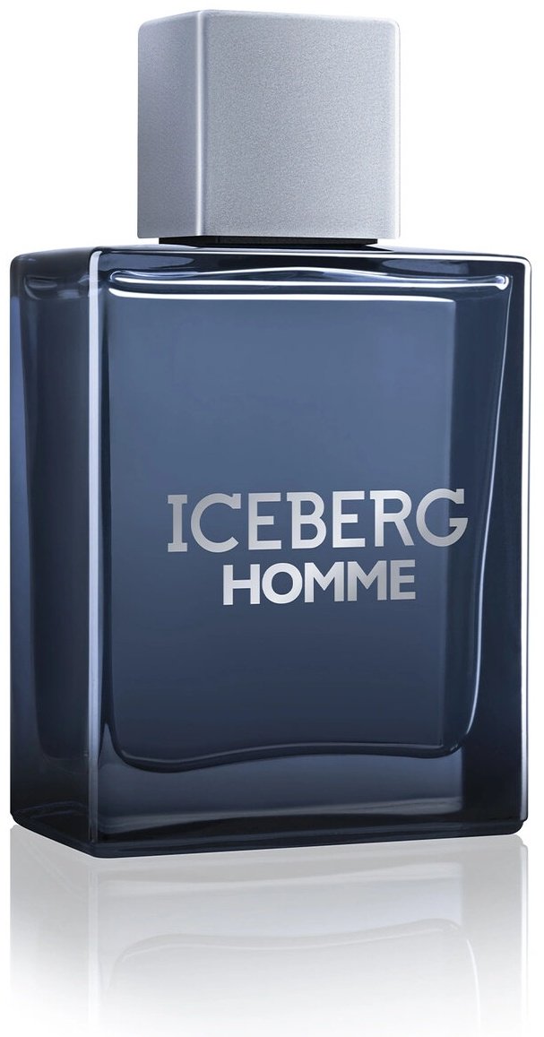 Iceberg Homme туалетная вода EDT 100 мл, для мужчин купить,16790