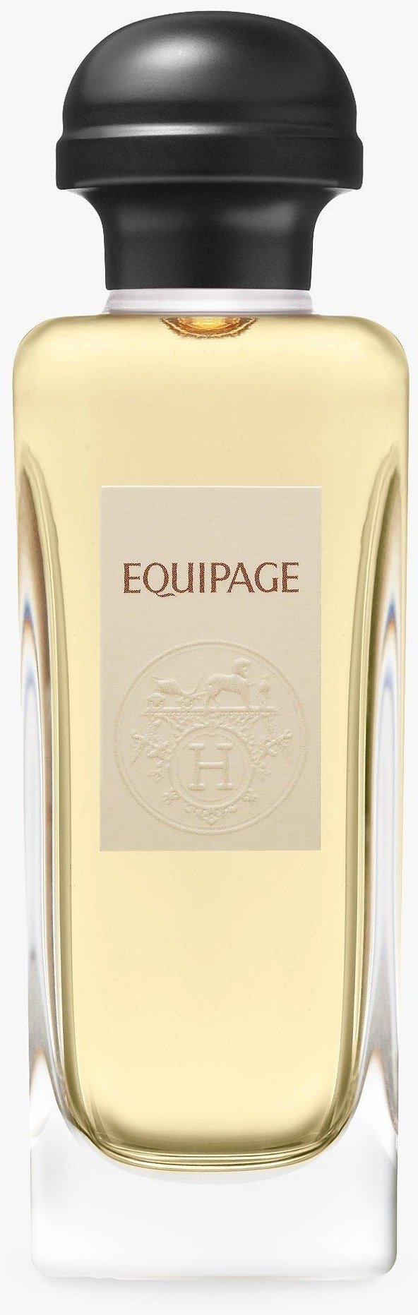 Hermes Hermes - Equipage туалетная вода EDT 100 мл, для мужчин купить,72690