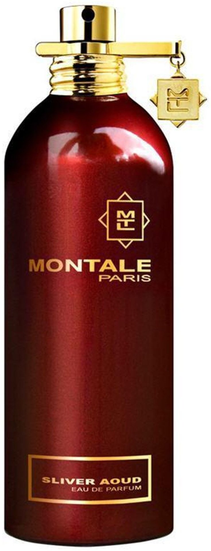 MONTALE Sliver Aoud парфюмерная вода EDP 10 мл, для мужчин купить,10690