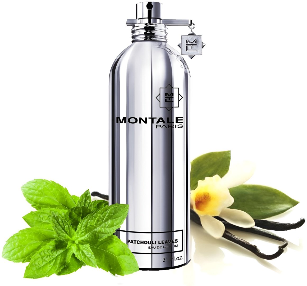 MONTALE Patchouli Leaves парфюмерная вода EDP 10 мл, унисекс купить,9890