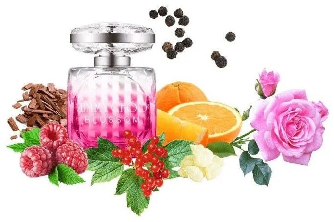 Jimmy choo Blossom парфюмерная вода EDP 100 мл, для женщин купить,107290