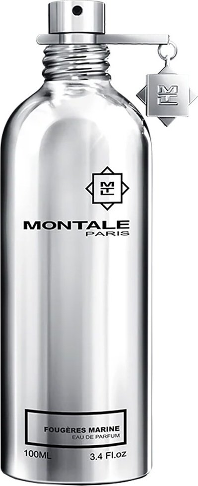 MONTALE Fougeres Marine парфюмерная вода EDP 100 мл, для мужчин купить,44790