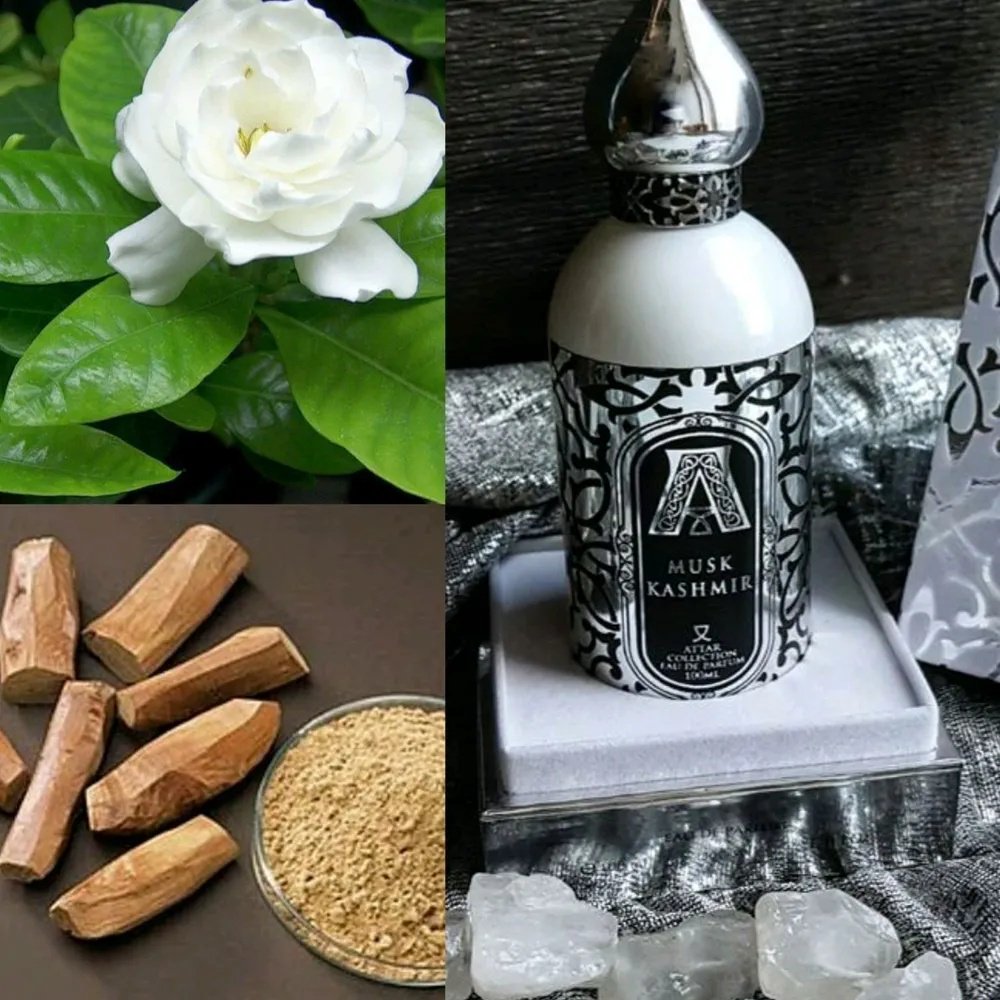 Attar Collection Musk Kashmir парфюмерная вода EDP 100 мл, унисекс купить,67390